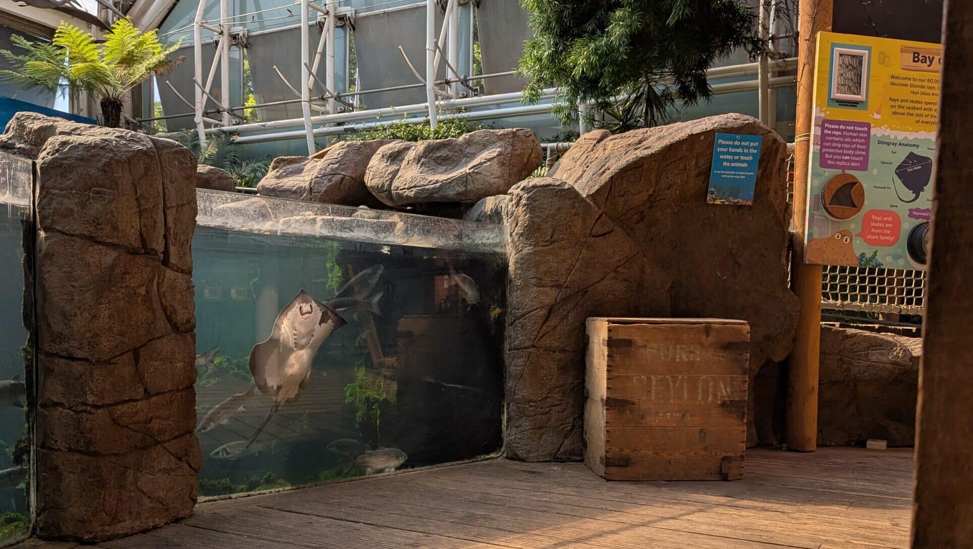 PXL_20250515_151706049.MP