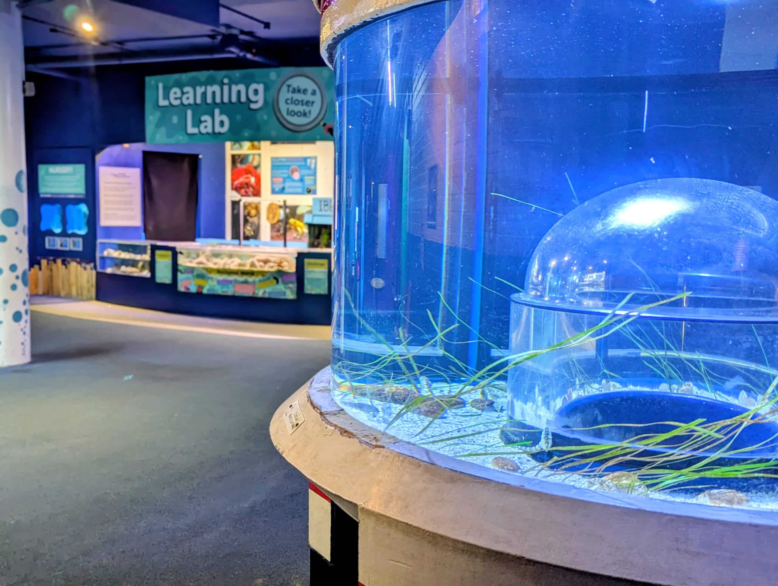 PXL_20260408_153506943.PORTRAIT~2