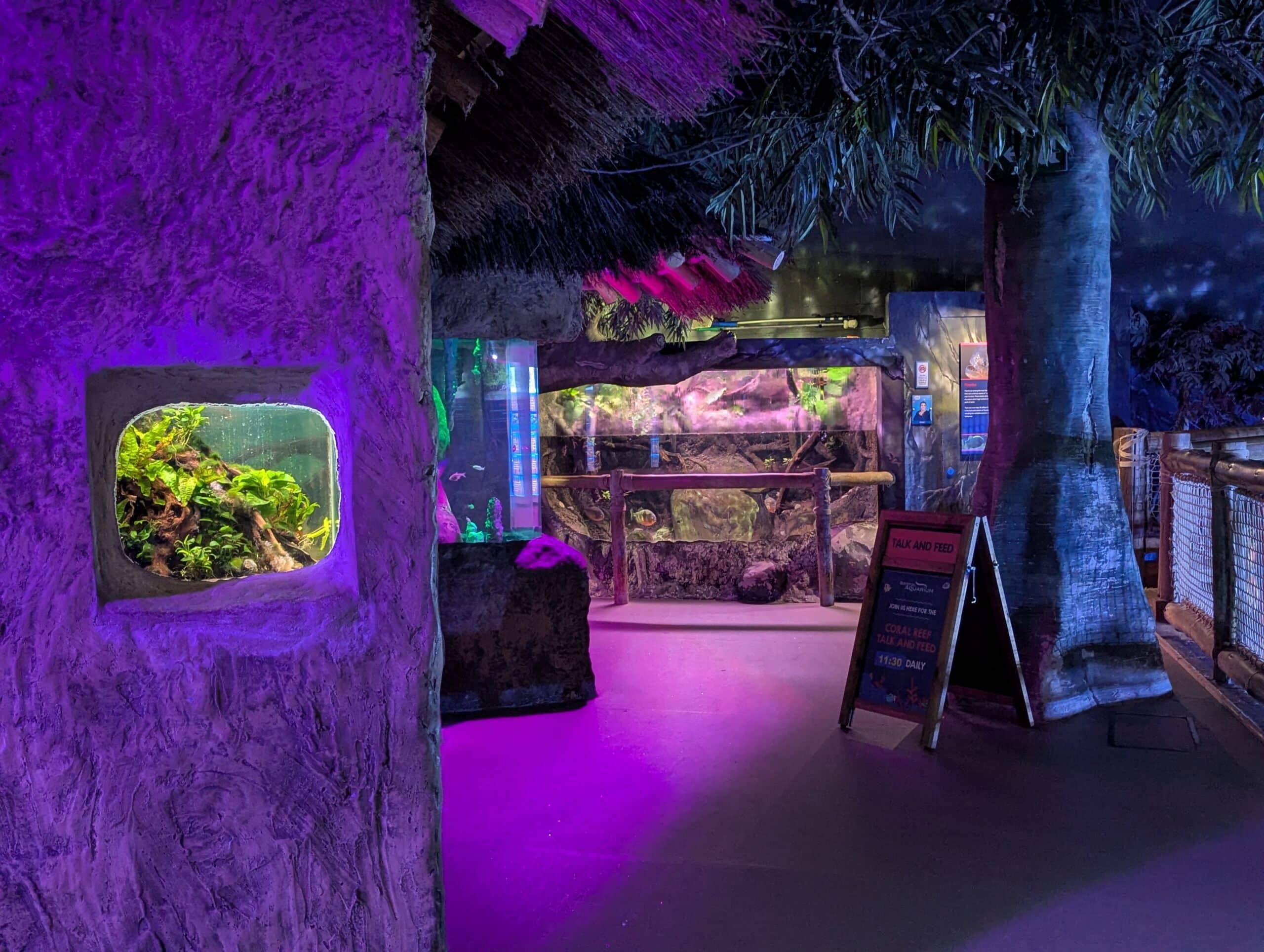 PXL_20260408_153650606.PORTRAIT.ORIGINAL