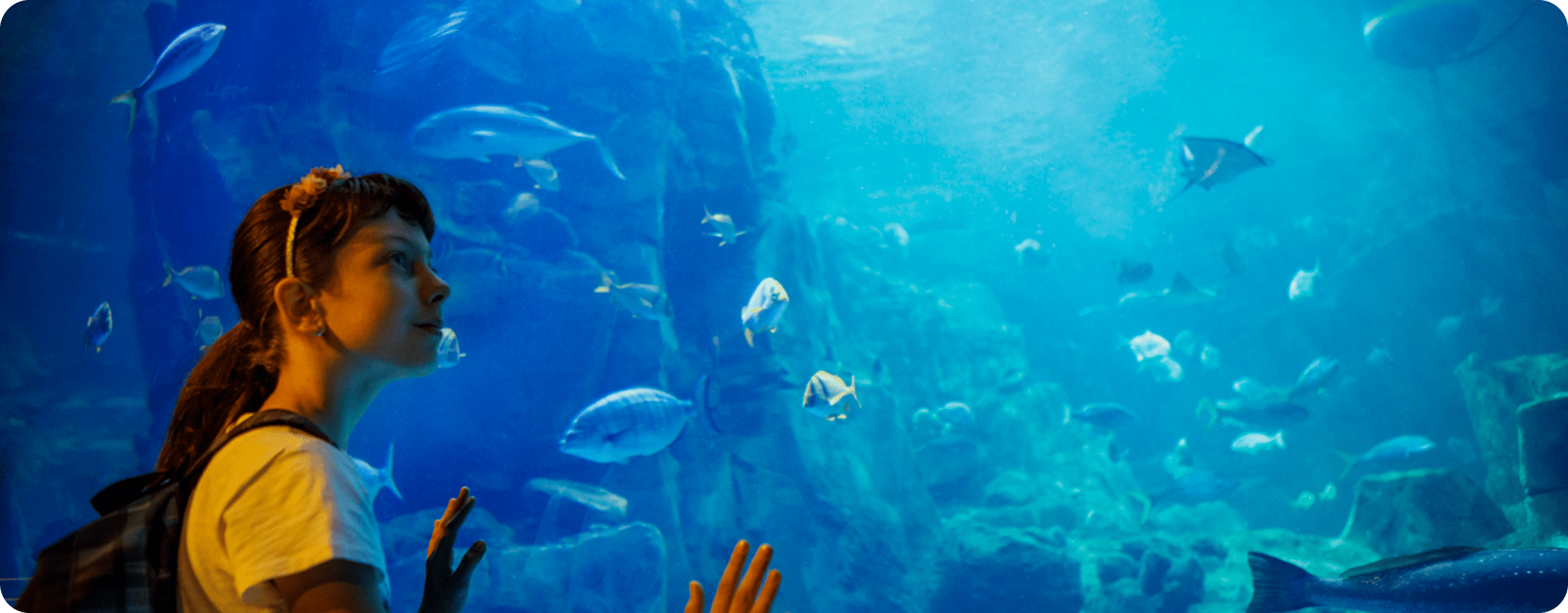 a-girl-watch-fish-tank-two