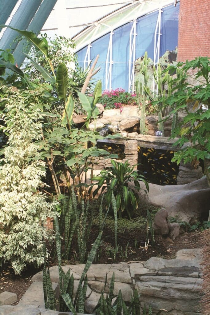 Biocontrol Bugs in the Urban Jungle