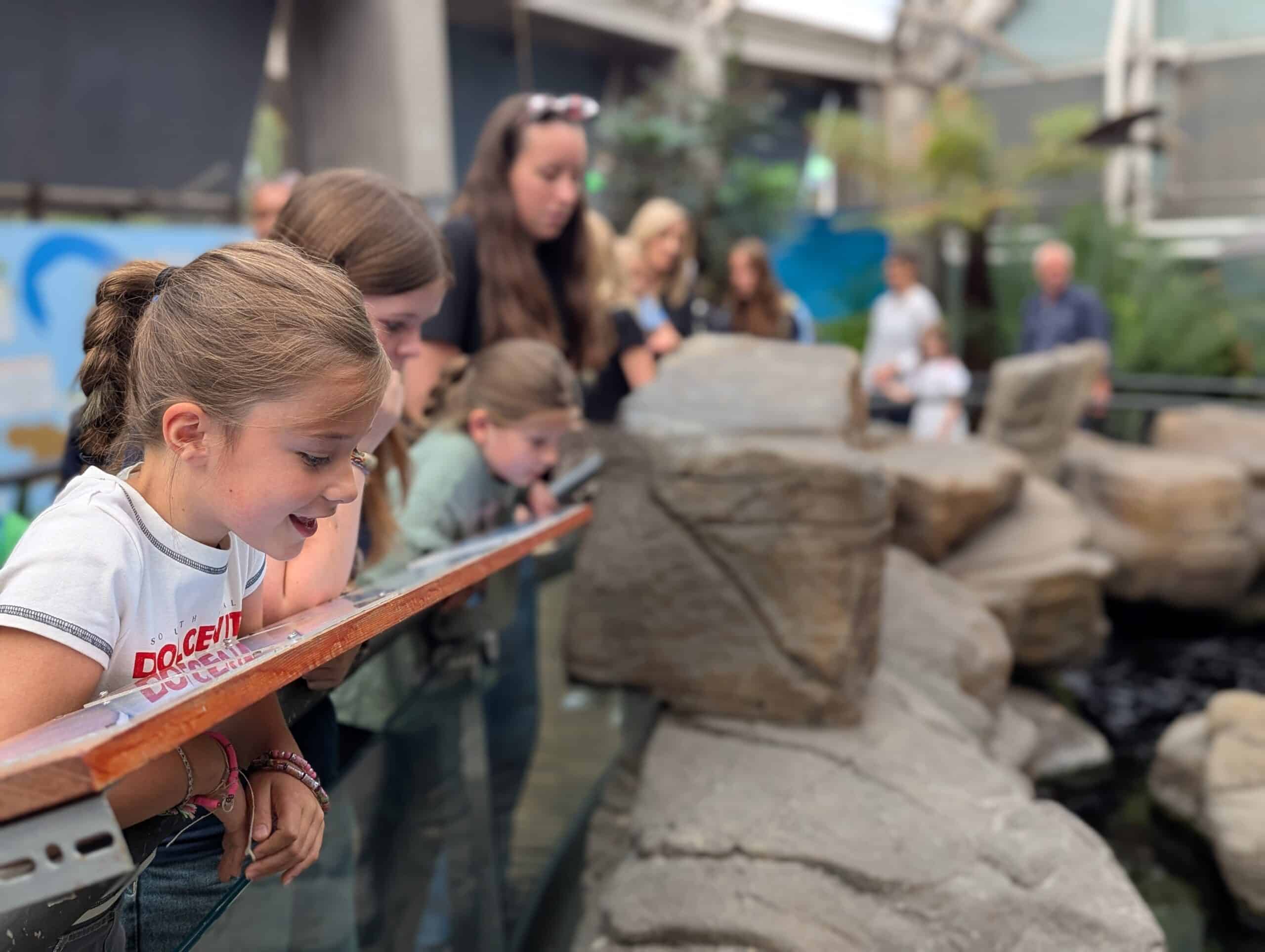 Bristol Aquarium 1