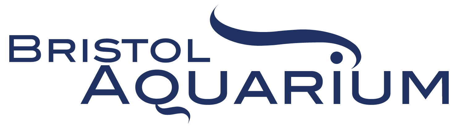 Bristol Aquarium