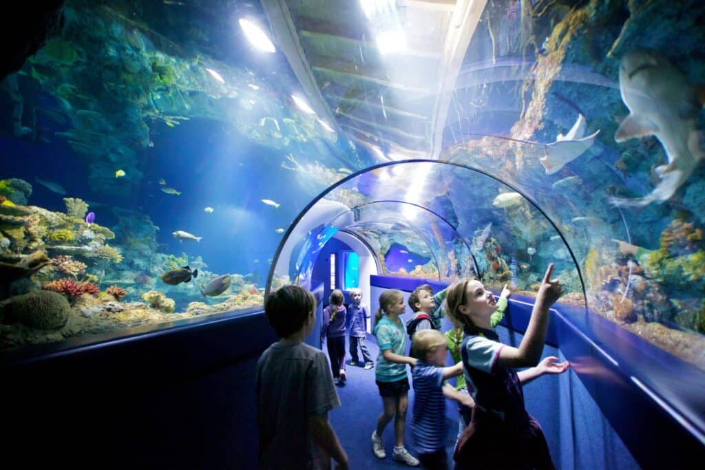 Bristol Aquarium celebrates its 15th year on the harbourside this November