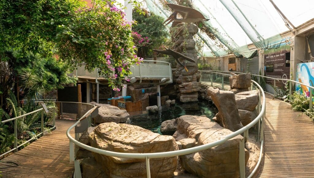 Celebrating the Jurassic Era