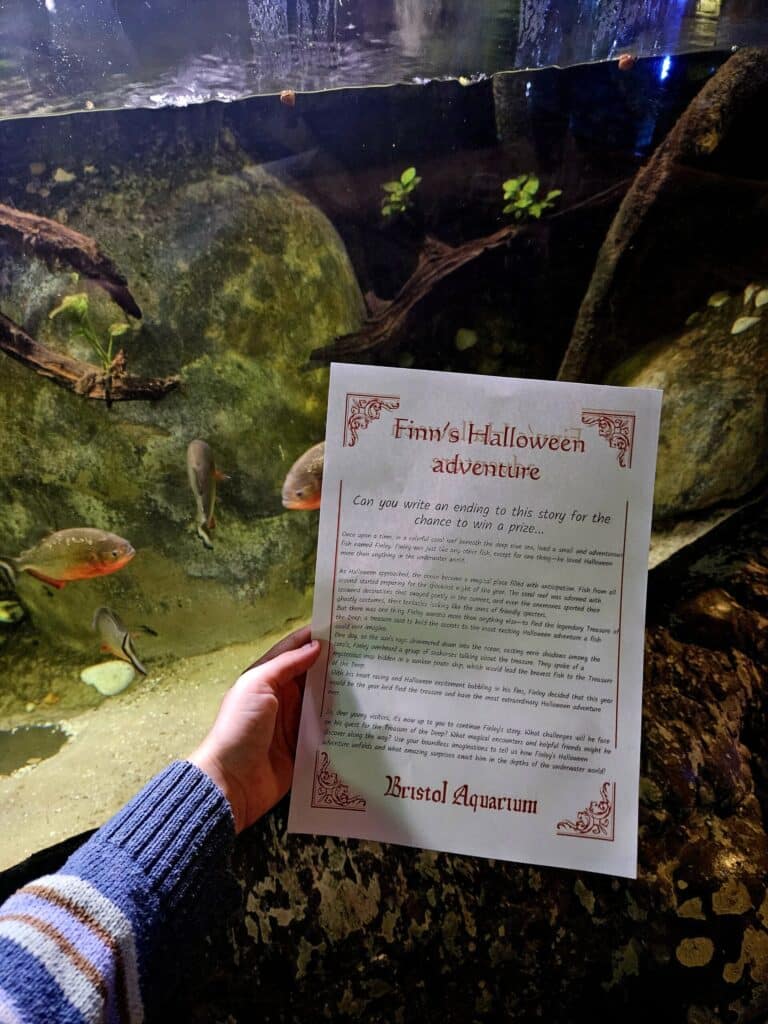 October Half Term Writing Competition!