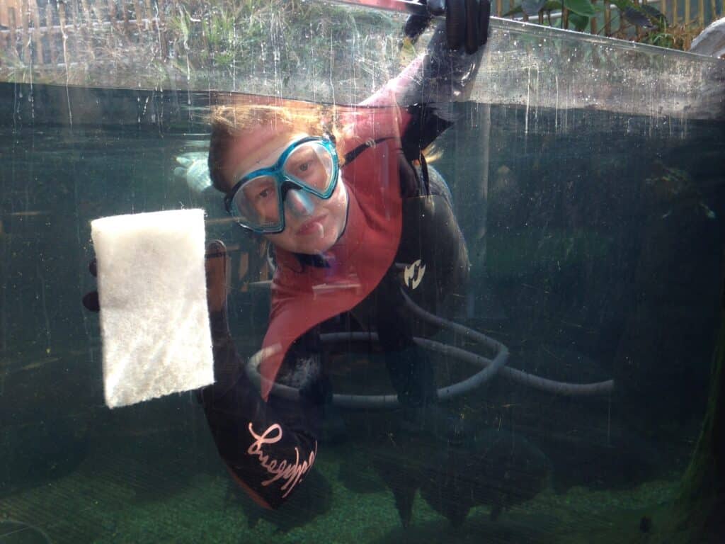 Celebrating volunteers