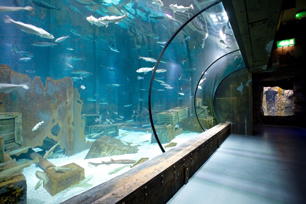 Spectacular Window Unveiled