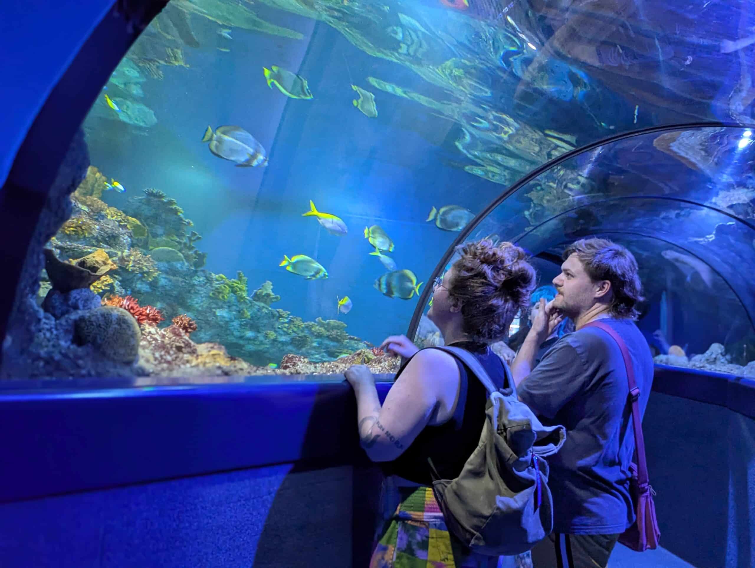 PXL_20250628_175615122.PORTRAIT