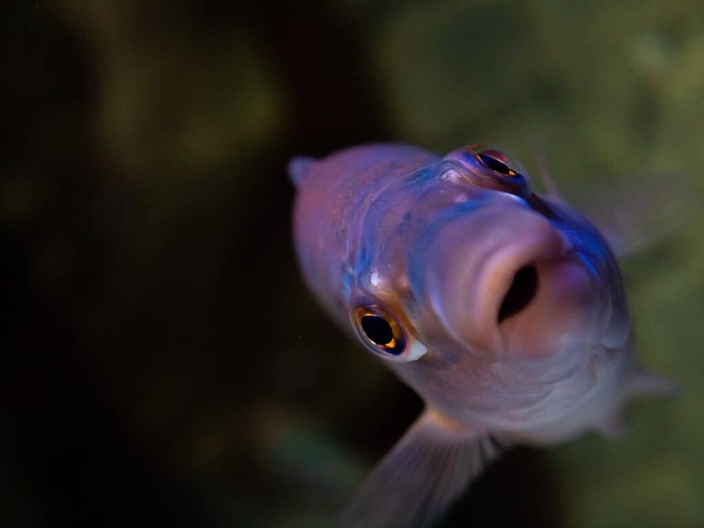 Easter Eggs-travaganza!