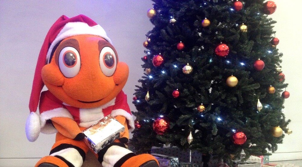 Enjoy 20% off this Christmas Fishes…