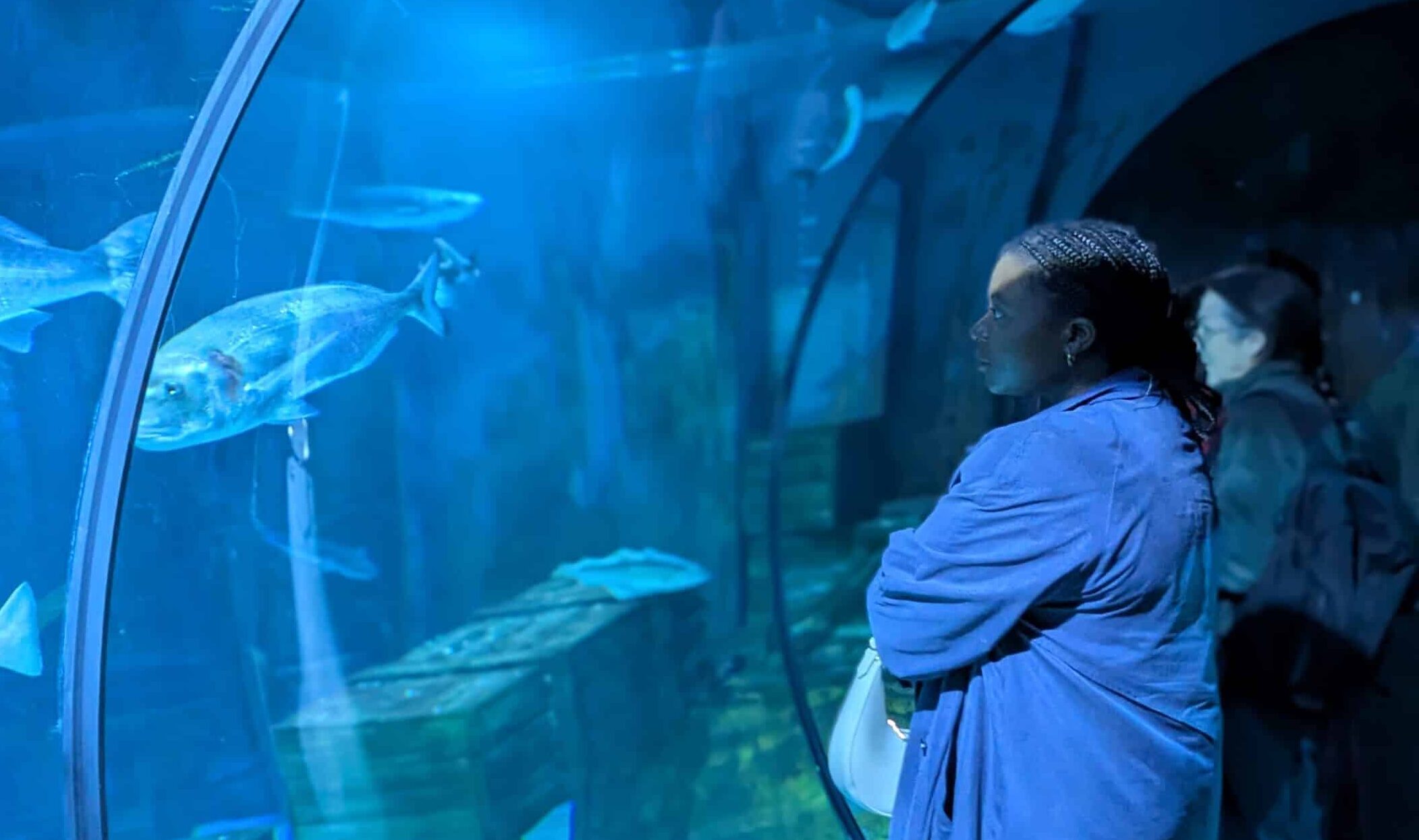 PXL_20251029_182119544.PORTRAIT